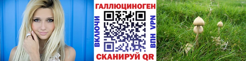 Галлюциногенные грибы MAGIC MUSHROOMS  где купить наркоту  Шилка 